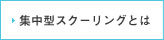 集中型スクーリングとは