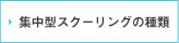 集中型スクーリングの種類