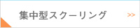 集中型スクーリング