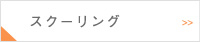 スクーリング